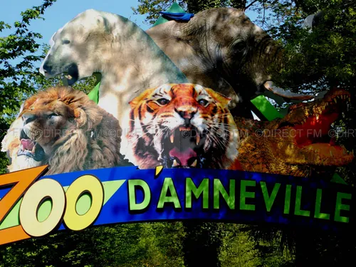 Zoo d’Amnéville : Le jaguar Buzzy est décédé 